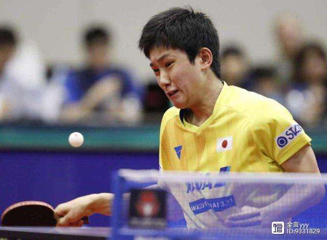 波兰队翻盘瑞典队，马龙统治全场的简单介绍